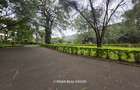 4.3 ac Land at Old Muthaiga - 3