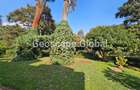 4 Bed House with En Suite in Rosslyn - 12