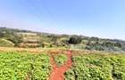 Land in Redhill - 1
