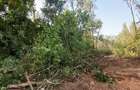 Land at Malindi Mombasa Road - 2