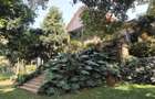 5 Bed House with En Suite in Kitisuru - 7