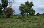 4.5 ac Land at Mtwapa - 6