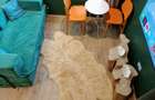 1 Bed House with En Suite at Tree Lane - 5