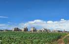 1 ac Land at Vipingo - 1