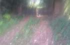 1.2 ac Land in Ngong - 16