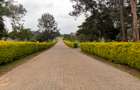 Residential Land at Karen The Hip Road - 6