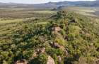 100 ac Land at Lolldaiga Valley - 1