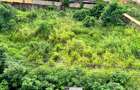1,011.7 m² Land at Mtwapa - 10