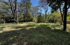 2.7 ac Land in Karen - 10