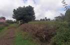 0.125 ac Residential Land in Kamangu - 4