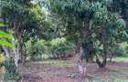 8,093.72 m² Land at Mtwapa - Mtepeni - 8