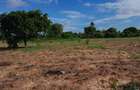 13 ac Land at Majaoni - 6