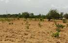 Land in Kilifi - 12