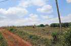 10 ac Land at Kirawa Road - 3
