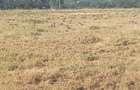 17 ac Land in Ongata Rongai - 1