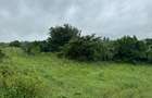 Land in Kilifi - 10
