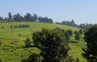 5 ac Land at Tigoni - 4