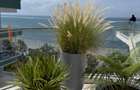 Studio Apartment with Swimming Pool in Nyali Area - 7
