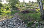 7 ac Land at Malindi - 3