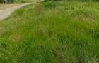 0.215 ac Residential Land at Chuna - 2