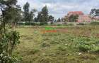 0.1 ha Commercial Land in Limuru - 1