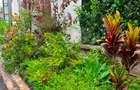 4 Bed Townhouse with En Suite in Kitisuru - 13