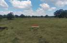 88 ac Land at Ol Choro Conservancy - 14
