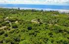 10 ac Land in Vipingo - 2