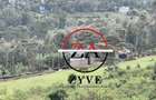 0.125 ac Land at Matasia - 10
