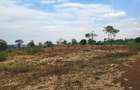 Residential Land in Ruiru - 9