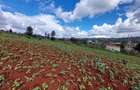 Land at Kibiko - 4