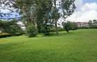 Land in Karen - 7