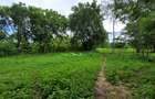 Commercial Property in Nyali Area - 3