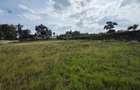 Land in Karen - 14