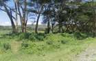Land in Naivasha - 10
