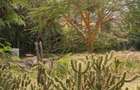 0.045 ac Land at Kitengela Newvalley - 4