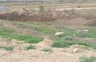 4.8 ac Commercial Property with Garden in Athi River - 20
