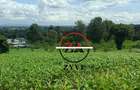 0.125 ac Land at Kanunga Kiambu Road - 7