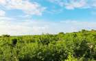 Land at Watamu - 2