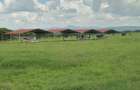 540 ac Land in Bisil - 11