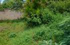 1.0 ac Land at Kandara Road - 1