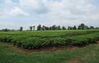 Land at Kiambu Rd - 7