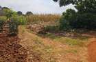 10 ac Land at Kirawa Road - 6