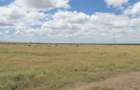 11.5 ac Land at Kariunga - 2