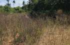 Land in Kilifi - 11