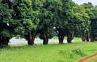 Residential Land at Juja-Gatundu Rd - 12