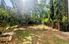 4 Bed House with En Suite at 3Rd Avenue - 6