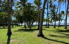 3.9 ac Land at Kikambala Beach - 9