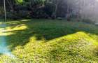1 Bed House with En Suite in Kitisuru - 3