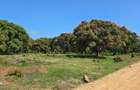 500 m² Land at Kikambala - 11